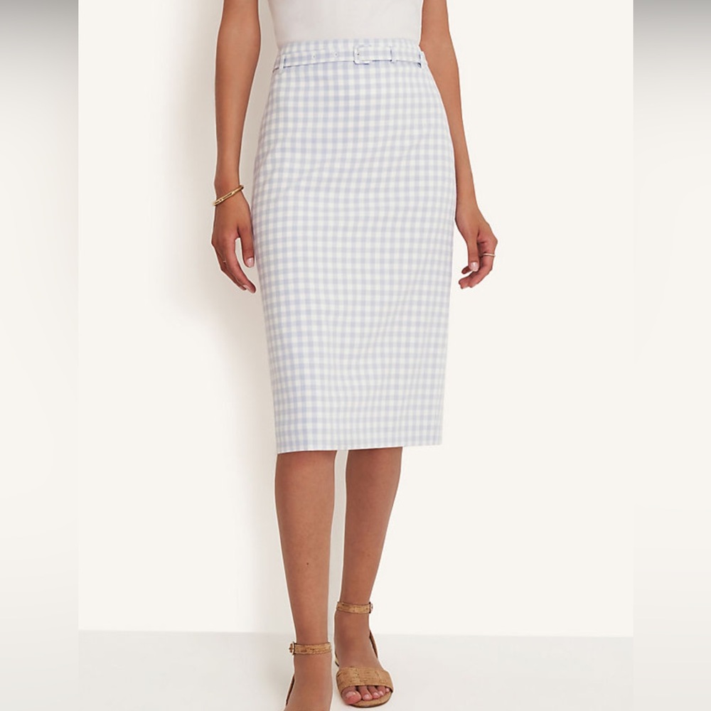 Belted Pencil Skirt